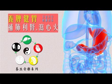 胃 五行|二、胃